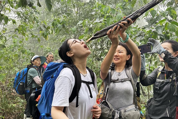 Muang Sing minorités ethniques Hmong Akha Tai Lue nord Laos vallée montagne