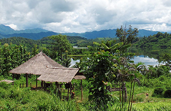 Éléphants observation plateforme vétérinaires soins canoë musée conservation Laos