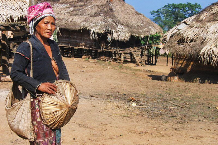 Guide randonnée Muang Sing villages ethniques minorités nord Laos immersion